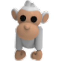 Albino Monkey