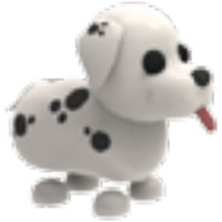 Dalmatian